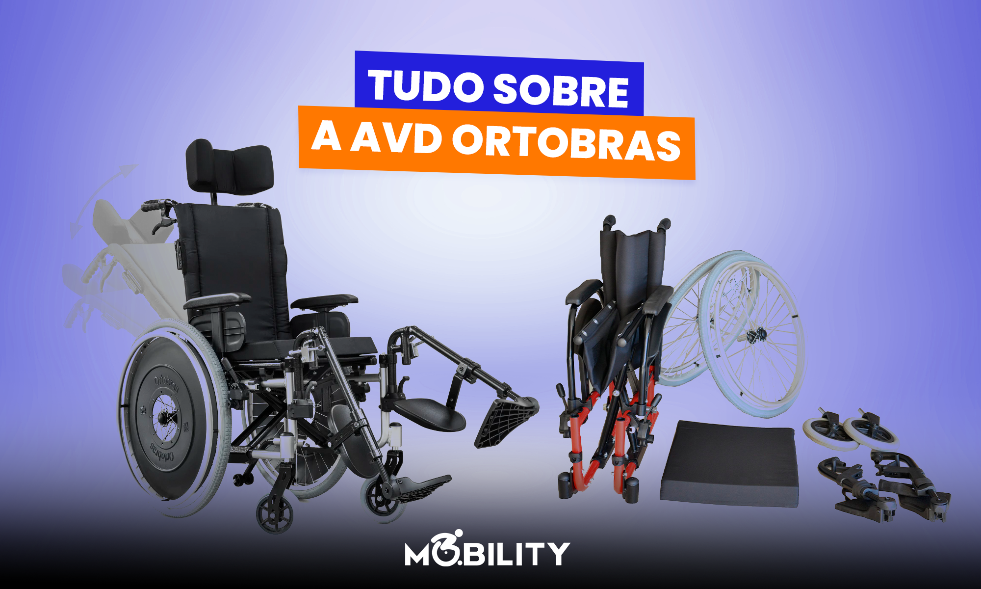 Tudo sobre a Cadeira de rodas AVD Ortobras